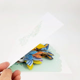 Butterflies Pop Up Card