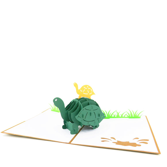 Turtles Pop Up Card