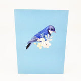 Blue Jay Bird Pop Up Card