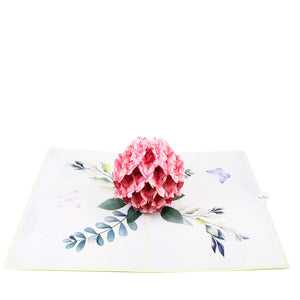 Hydrangea Flower-pink