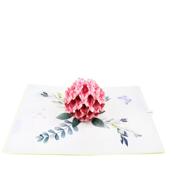 Hydrangea Flower-pink