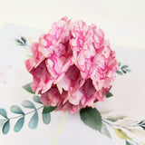 Hydrangea Flower-pink