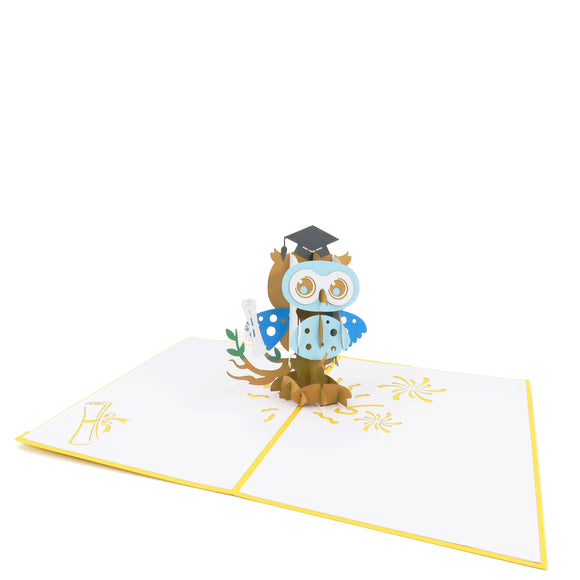 Graduation Owl-boy Pop Up Card