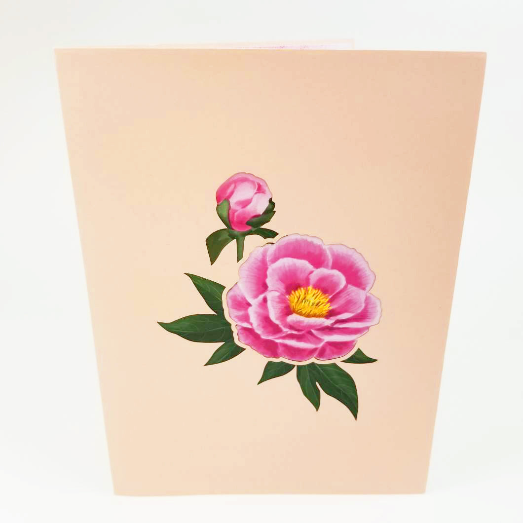 Peony Flower Pop Up Card – Pop Card Express