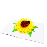 Ladybug Pop Up Card